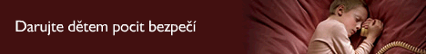 více informací na www.linkabezpeci.cz